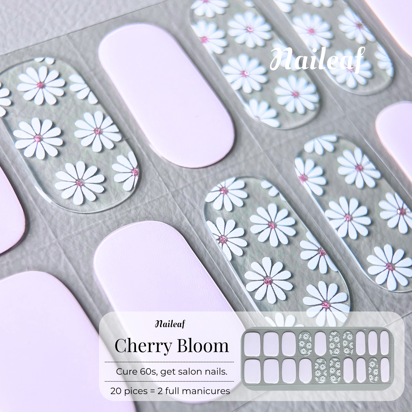Cherry Blossom