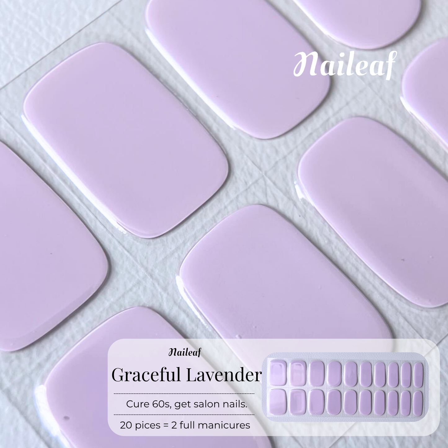 Graceful Lavender