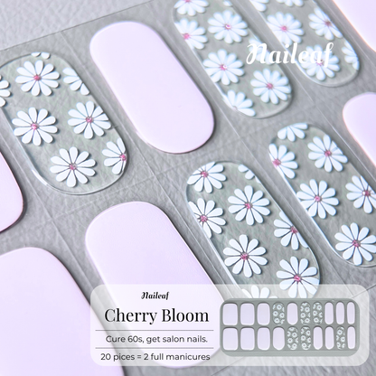 Cherry Blossom