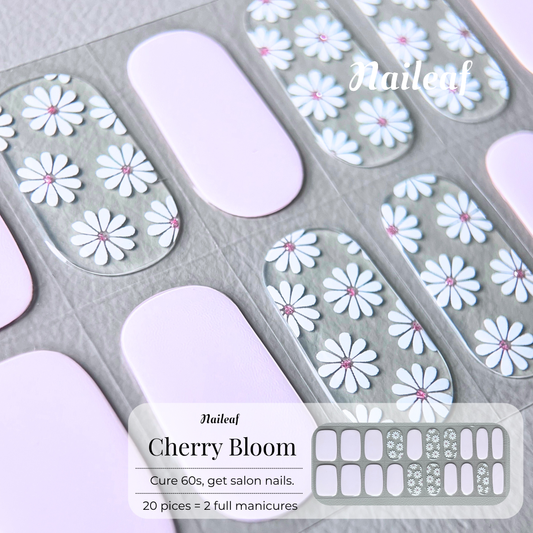 Cherry Blossom
