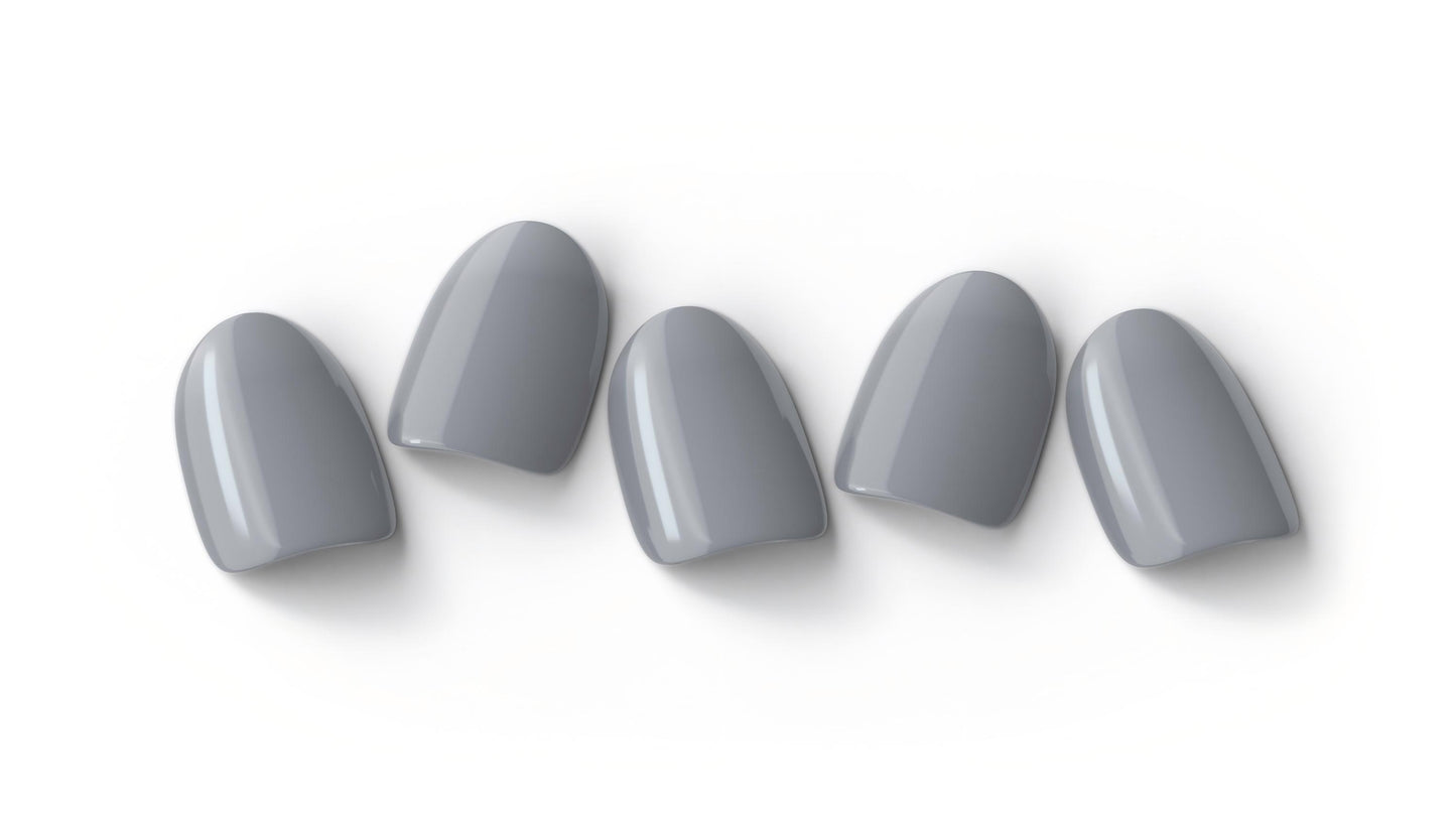 Steady Grey